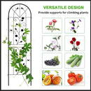 LZRS 4 Pack Rustic Iron Arch Decoration Garden Trellis with Black Metal Coating – Perfect for Supporting Climbing Plants Outdoor, Roses, Vines, Flowers, and Vegetables. by GreenHaven Gardens