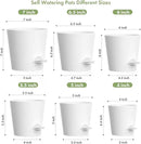 7/6.5/6/5.5/5/4 inch Self Watering Pots for Indoor Outdoor Plants, 6 Pack Plastic Flower Planters with Drainage Holes and Removable Saucers, Plant Pots with Wicking Rope, Modern Decor, White by GreenHaven Gardens
