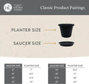 The HC Companies Flower Pot Saucers - Plastic Plant Saucer for Outdoors & Indoors - Traditional Design Plant Pot Trays for Water Drainage - Durable & Stylish Round Plant Tray (21-inch Evergreen) by GreenHaven Gardens
