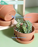 vensovo 3.7 Inch Terracotta Shallow Succulent Pots - 6 Pack Terra Cotta Clay Pot with Saucer, Cacuts Indoor and Outdoor Planters with Drainage Hole by GreenHaven Gardens