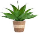 Velener Fake Agave with Rattan Pot, Artificial Plant Outdoor Agave - Fake Sucuulents Plants for Indoor and Outdoor Decor(16 Inch) by GreenHaven Gardens