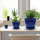 7.5/6.5/5.5/4.9/4.2/3.5 Inches Plant Planters 6 Pack, Thick Sturdy Plastic Pots for Plants, Indoor/Outdoor 6 Sizes Flower Pots with Drainage Holes and Saucers (6 Sizes,Dark-Blue) by GreenHaven Gardens