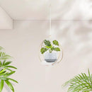 Hanging Planters for Indoor Plants, Plant Hanger with Sturdy Wood Base,Modern Boho Macrame Plant Hanger,Wall Ceiling Window Stands(Plants/Pots Not Included) by GreenHaven Gardens