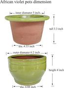 African Violet Pots Self Watering Round Ceramic Violet Pot (Green, 6 inch) by GreenHaven Gardens
