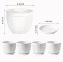 Sureasy Ceramic Indoor Plant Pots - 5.6 Inch Flower Pots for Plants with Drainage Hole and Saucer, Embossed Planter for Succulents, Orchid, Cactus, Indoor Home Decor, Set of 4, White by GreenHaven Gardens
