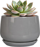 G EPGardening Ceramic Pot for Plants - Modern 6 Inch Round Planter Indoor with Drainage and Tray for Indoor Outdoor Flower, Patio Decor, Teacher Gifts, Grey by GreenHaven Gardens