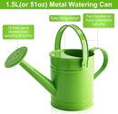 Finderomend Watering Can, Metal Watering Can 1.5L/51oz, Iron Art for Watering Bucket Home Office Small Portable Indoor Watering Equipment (Green) by GreenHaven Gardens