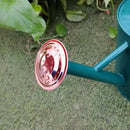 Steel Watering Can Sliver Galvanized Steel Watering Can with Copper Accents,Removable Rosette-Diffuser,One-Gallon Green by GreenHaven Gardens