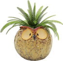GeLive Owl Planter Ceramic Succulent Plant Pot Fun Animal Flower Container Decoration Tabletop Decor Windowsill Box with Drainage Hole (Round Owl Planter) by GreenHaven Gardens