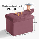 LINMAGCO Storage Ottoman Folding Foot Stool Velvet Footrest with Padded Modern Ottoman with Storage for Living Room Puppy Step Stool 17x13x13in(Jelly Pink) by CozyNest Decor