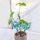Plant Self Watering Globes - 10pcs Flower Self Watering Planter Insert, Plastic Self Watering Bulbs Auto for Plants, Garden Water Device Drippers System for Travel Business Trip Plant Self-Watering by GreenHaven Gardens