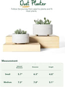 LE TAUCI Succulent Pots, 6.5+8 Inch Ceramic Indoor Plant Pot with Drainage Hole, Modern Round Decorative Flower Pot, Set of 2, Matte White by GreenHaven Gardens