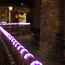 150ft LED Rope Lights Outdoor, 1080 LED Connectable and Flexible Tube Lights with 8 Modes, Waterproof LED Rope Lighting for Garden, Patio, Bedroom, Party, Pool, Indoor Outdoor Decoration (Purple) by GreenHaven Gardens