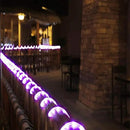 200ft LED Rope Lights Outdoor, 1440 LED Flexible Tube Lights with 8 Modes, Waterproof LED Rope Lighting for Outside, Garden, Patio, Bedroom, Party, Pool, Fences, Indoor Outdoor Decoration (Purple) by GreenHaven Gardens