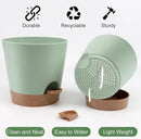 Indoor Self Watering Planters with Drainage Holes and Saucers, 8, 7, 6.5, 6, 5.5, 5 Inches, Green, 6 Pots by GreenHaven Gardens