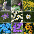 Rocky Mountain Wildflower Seeds Mix - 1 Lb Seed Pouch - 22 Wild Flower Seed Varieties - Annuals, Perennials and Bi-Annuals - Flower Garden by GreenHaven Gardens