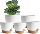 5Pack Self Watering Plant Pots for Lazy People, 7/6.5/6/5.5/5 Inch,White Plastic Self Watering Planter for All Houseplants,Succulent, African Violets,Snake Plants, Flowers and Cactus by GreenHaven Gardens
