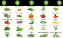 50 Vegetable & Herb Seeds Variety Pack - 25,000 Seeds - Long-Term Storage - Non-GMO Heirloom Open-Pollinated Gardening Seeds for Planting Vegetables & Herbs - Waterproof Packaging by GreenHaven Gardens