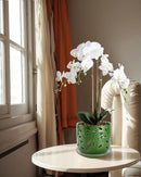 EFISPSS Orchid Pot with Holes, 5+6Inch Ceramic Plant Pots with Drainage Holes and Tray, Promoting Air Circulation and Drainage, Indoor/Outdoor Flower Pots-Green by GreenHaven Gardens
