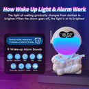 Astronaut Kids Sunrise Alarm Clock, 7 Dimmable Light Wake Clock for Teens, White Noise Bluetooth Speaker with 9 Soothing Sounds, Best Modern Alarm Clock for Heavy Sleepers, Adults, Boys in Bedroom by TinyTreasures Baby Boutique