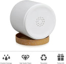 5 Pack Cylindrical Flower Pots with 7/6.5/6/5/4 inch, Modern Small Plastic Plant Pots with Drainage Holes & Saucers, Round Planter Pots for Outdoor, Indoor & Office Decor (White Brown) by GreenHaven Gardens