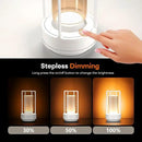 Portable Metal Table Lamp for Indoor/Outdoor ,Rechargeable Cordless LED Lamp, 3-Colour Infinitely Dimming Battery Powered Small Desk Lamp, Restaurant/Bedroom/Bar/Coffee/Camping Light (White Set of 2) by CozyNest Decor