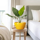 Ceramic Planter 9 Inch - Mid-Century Round Modern Plant Pot Indoor with Drainage Hole and Saucer for Outdoor Plants, Balcony House Garden Patio Home Decor, Yellow by GreenHaven Gardens
