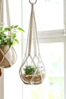 Dahey Macrame Plant Hanger Indoor Hanging Planter Basket Handmade Woven Cotton Rope Flower Pot Decorative Crochet Plant Holder Stand for Boho Home Decor No Tassels,35 Inch,Set of 2 by GreenHaven Gardens