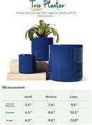 LE TAUCI Large Plant Pots Set, 10/8/6 Inch Ceramic Planters for Indoor Plants, Mid-Century Modern Flower Planter Pots with Drainage Hole and Plug, Cylinder Round Planter Pots, Set of 3, Sapphire Blue by GreenHaven Gardens
