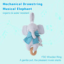 Organic Cotton Stuffed Animal Rattle Baby Toys, Organic Elephant Cuddle Cloth & Organic Musical Elephant Plush Toy Set for Newborns Infant Boys Girls, 2 PCS by TinyTreasures Baby Boutique