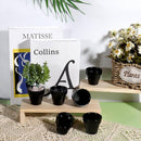 vensovo 48 Pcs 2" Tiny Ceramic Plant Pots with Drainage Hole - Black Small Mini Ceramic Pottery Planter Ideal for Indoor/Outdoor Plants, Crafts, Wedding Favors by GreenHaven Gardens