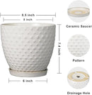 G EPGardening 8 Inch Plant Pot for Indoor Outdoor Plants Round Ceramic Planter Pot with Drainage Hole and Saucer Modern Large Flower Pot White by CozyNest Decor