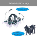 C9 Christmas Pathway Lights with Stakes,Cold White,30 Ft 20 Strawberry LED Bulbs,Connectable Shatterproof Outdoor Lights Marker for Xmas Yard Garden Path Lawn Walkway Sidewalk by GreenHaven Gardens