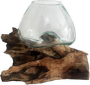 Hand Blown Molten Glass & Teak Wood Terrarium/Vase/Fish Bowl - Premium Quality (7" - 9" High) by CozyNest Decor