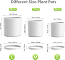 8/7/6 inch Flower Pots, 3 Set Cylindrical Plant Pots for Outdoor Indoor Plants, Decorative Plastic Planters with Drainage Holes and Saucers for Garden House Plants, White with Black Speckles by GreenHaven Gardens