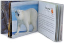 Menique Wild Animals Memory Matching Game – Spanish Edition – 80 Cards (40 Pairs) with Real Photos – Educational Game in Spanish for Kids and Adults – Includes Booklet by TinyTreasures Baby Boutique