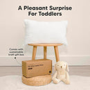 Toddler Pillow with Pillowcase - 13x18 My Little Cuddly Pillow, Viscose Derived From Bamboo Nursery Toddler Pillows for Sleeping,Kids Pillow,Small Travel Pillows,Mini Toddler Bed Pillow (Soft White) by TinyTreasures Baby Boutique