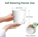 6 inch Self Watering Pots for Indoor Outdoor Plants, 6 Pack Flower Plant Pots with Drainage Holes and Clear Reservoirs, Visible Water Level, Plastic Planters with Wicking Rope, White by CozyNest Decor