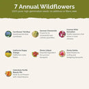 Eden Brothers Field Day Flower Mixed Seeds for Planting, 1/4 lb, 120,000+ Seeds with Zinnia Lilliput, Calendula Mix | Attracts Pollinators, Plant in Spring or Fall, Zones 3, 4, 5, 6, 7, 8, 9, 10 by GreenHaven Gardens