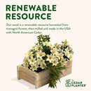 Greenes Fence Cedar Wood Planter Box, 21" x 11" x 7" - Made in USA with North American Cedar by GreenHaven Gardens