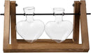 Kingbuy Glass Desktop Planter with Retro Wooden Stand and Plant Terrarium Vase (2 Hearts) for Indoor Home Office Desk Decor Accessories by GreenHaven Gardens