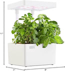 Back to the Roots Hydroponic Grow Kit, Indoor Garden with Light (Matte White), Organic Seeds Included, Gardening Gift, Everything Included by GreenHaven Gardens