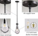 Raindrop Pendant Lights, Modern Black Pendant Lights for Kitchen Island, Dining Room Light Fixture Raindrop Chandelier, Chandelier for Living Room Hallway, Including The Bulb by CozyNest Decor