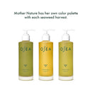 OSEA Undaria Algae™ Body Oil 5 oz - After Shower Body Oil - Non-Greasy Body Serum & Fast Absorbing Skincare - Clean Beauty & Vegan Seaweed Body Moisturizer for Dry Skin by TinyTreasures Baby Boutique
