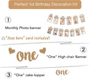 1st Birthday Photo Banner Decorations Monthly Milestone Photograph Bunting Garland with First Birthday Cake Topper High Chair Banner 1st Birth Decorations by TinyTreasures Baby Boutique