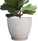 10 Inch Plant Pot Ceramic Planter Pot with Drainage Hole and Saucer Round Planter Large Flower Pot for Indoor Outdoor Plants Home Garden Decor White by CozyNest Decor