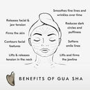 Mount Lai Stainless Steel Gua Sha Facial Tool – The Element of Refinement – Professional Grade Steel Face Sculpting Tool for Lymphatic Drainage, Puffiness Reduction & Refined Results by CozyNest Decor