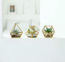 Mkono 4 Inches Mini Glass Geometric Terrarium Container Set of 3 Modern Tabletop Planter Shelves Decor Display Centerpiece for Succulent Miniature Fairy Garden Air Plant, Gold (Plant Not Included) by CozyNest Decor