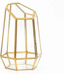 Golden Geometric Glass Terrarium with Door - 9.8" Tall Irregular Clear Planter for Succulents,Ferns,Moss,Cacti | Indoor Fairy Garden,Tabletop Display,Wedding Home Decoration (Plants Not Included) by GreenHaven Gardens