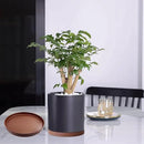 Ceramic Plant Saucer Pot Tray 12 Inch, Planter Saucers 4 5 6 7 8 9 10 11 12 13 Inch for Indoors Outdoor, Durable Sturdy Flower Drainage drip Water Tray for Glazed Pots Base (12.7 Inch-Brown) by GreenHaven Gardens